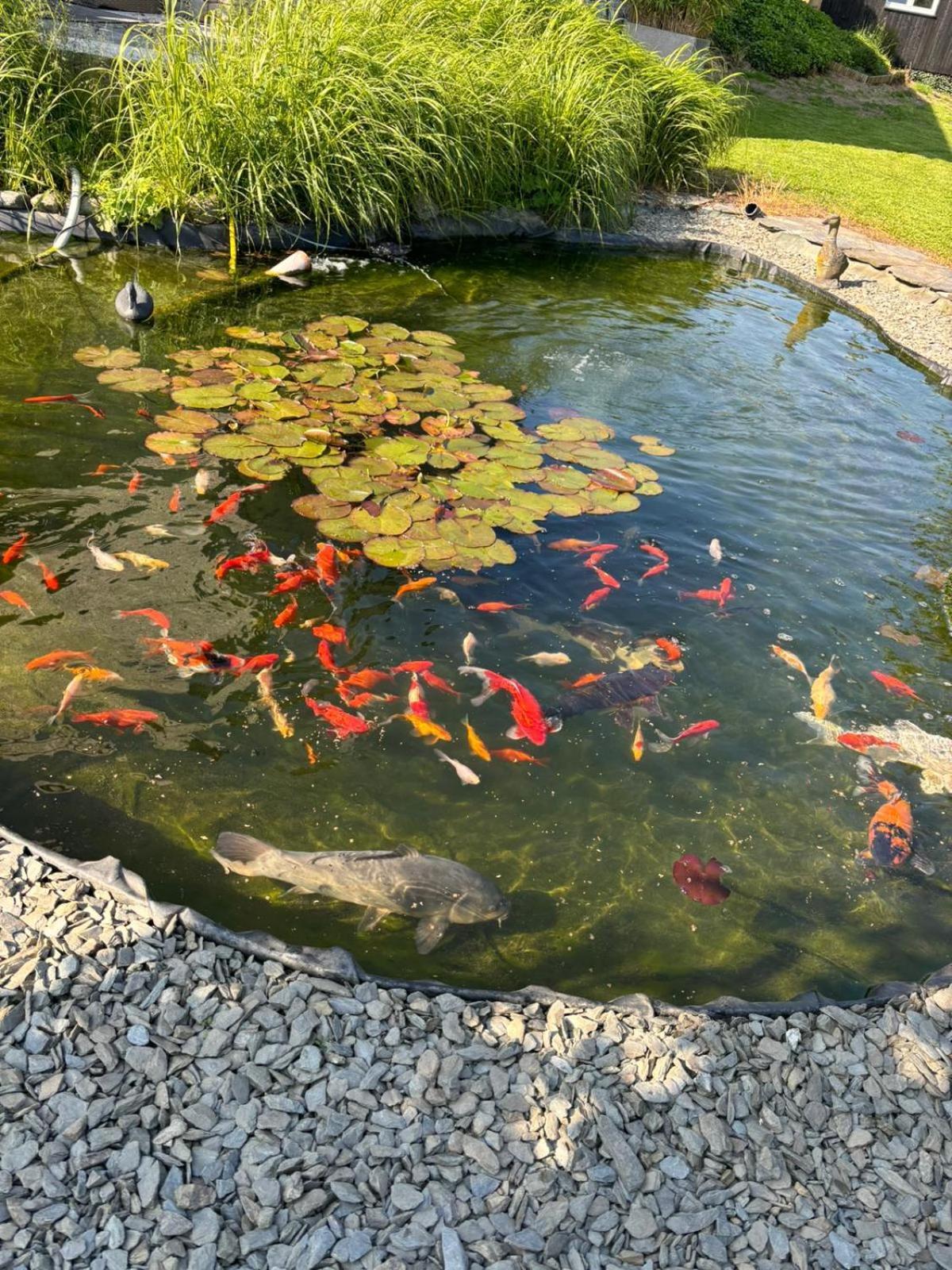 Le Clos Des Bansions Жале Экстерьер фото
